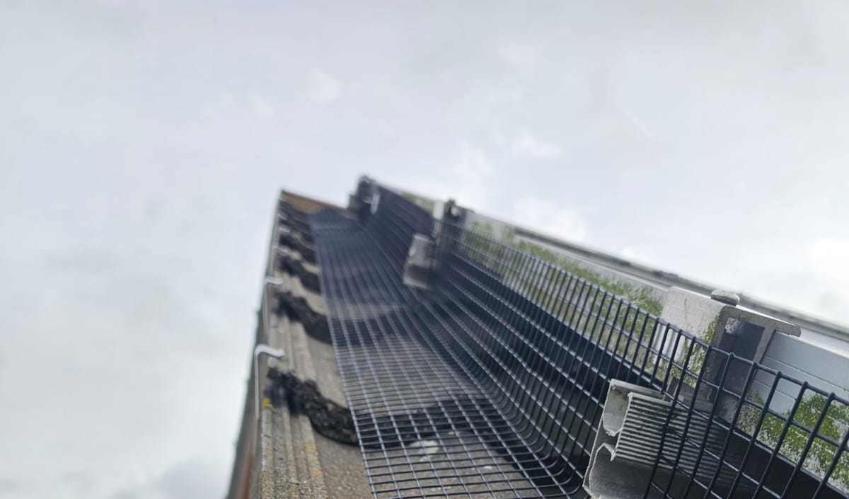 Protecting Solar Panels From Pigeons in Rotherham