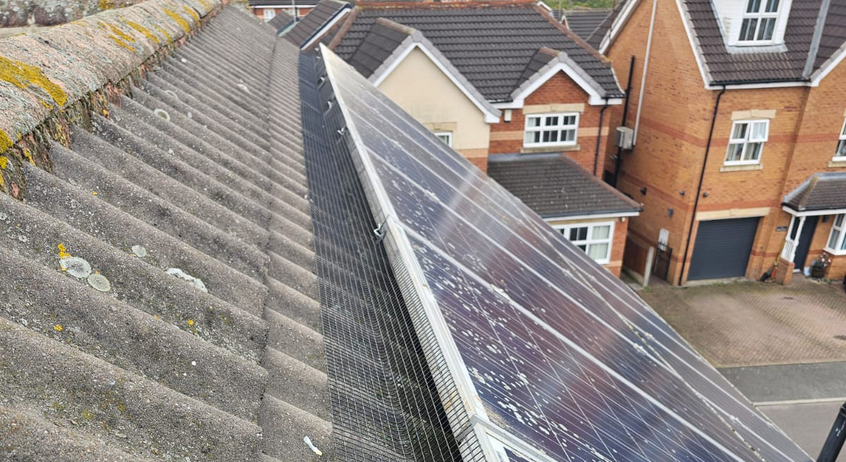 Protecting Solar Panels From Pigeons in Rotherham
