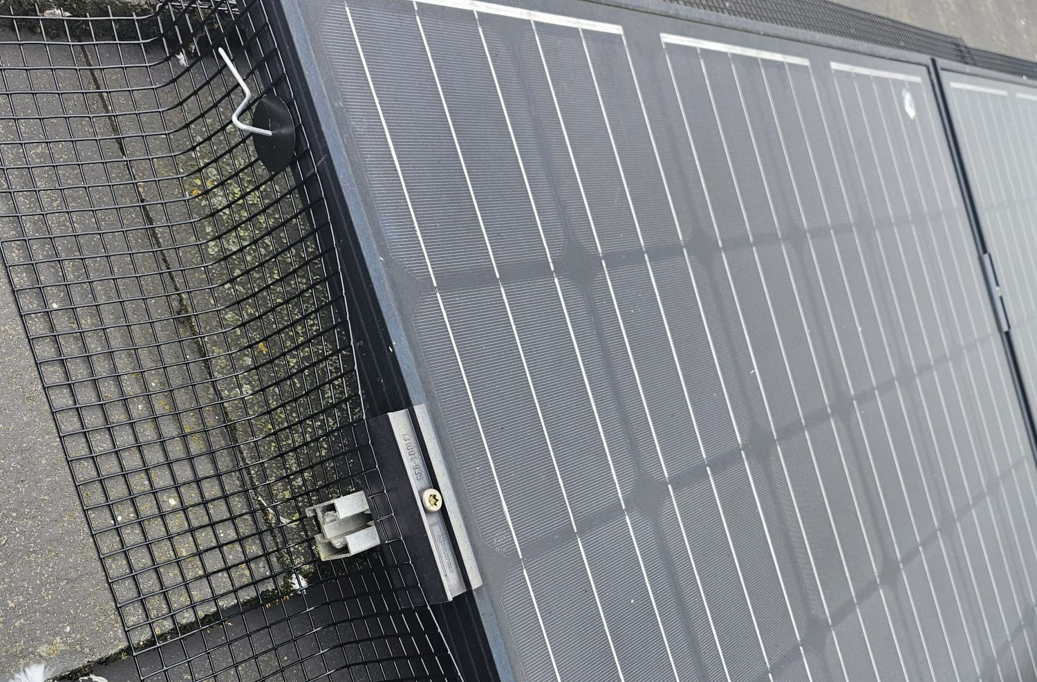 Pigeon Proofing Solar Panels in Rotherham