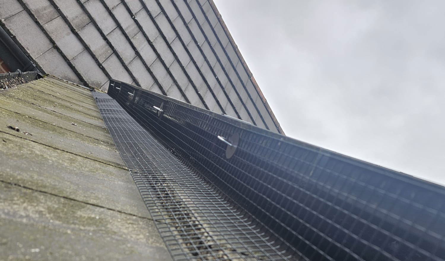 Pigeon+Proofing+Solar+Panels+in+Rotherham