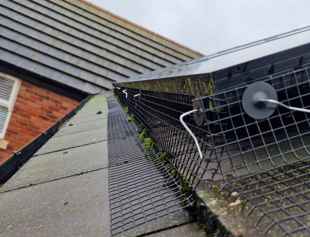 Protecting+Solar+Panels+from+Pigeons+in+Rotherham