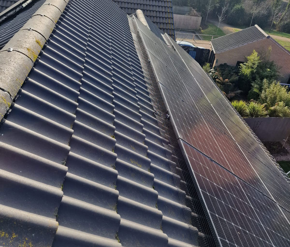 Protecting+Solar+Panels+from+Pigeons+in+Ruddington