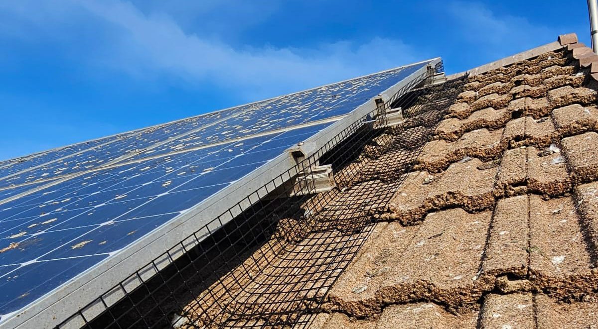 Solar Panels Protected from Pigeons in Ruddington