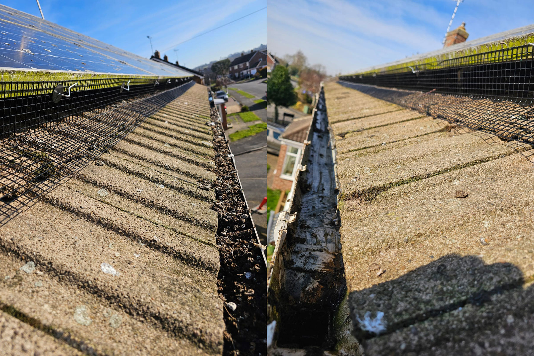 Solar Panels Protected from Pigeons in Ruddington