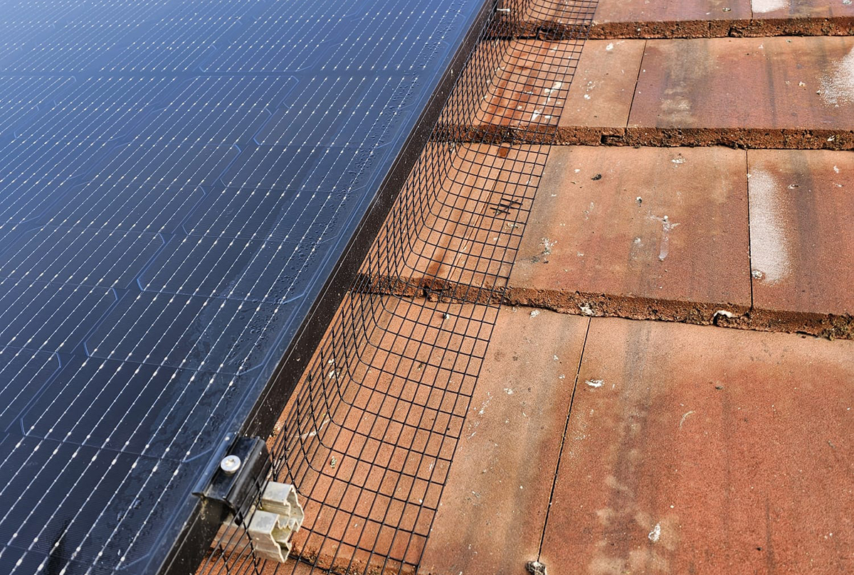 Protecting Solar Panels from Pigeons in Ruddington