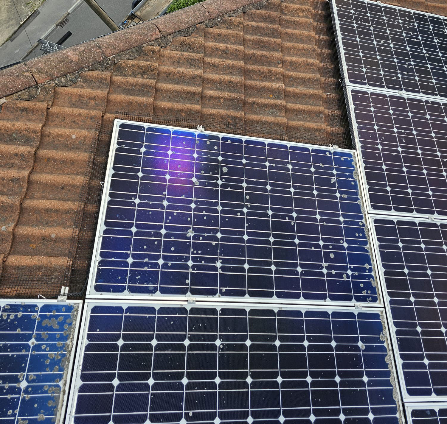Pigeon Proofing Solar Panels in Sheffield