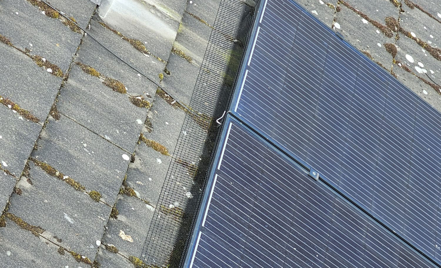 Protecting Solar Panels from Pigeons in Sherwood
