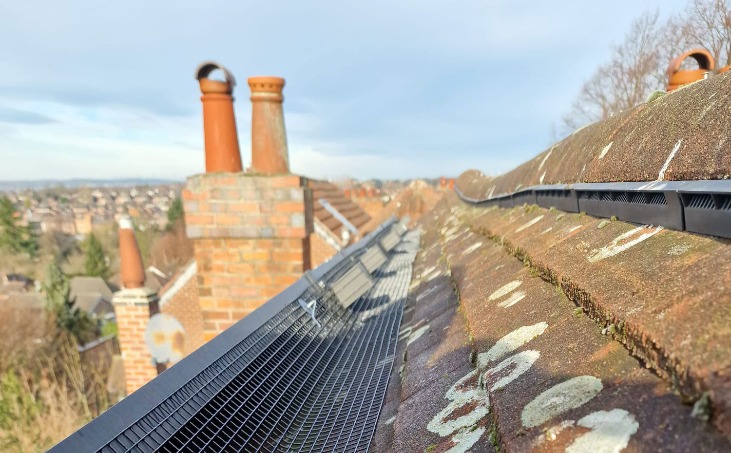 Bird Proofing Solar Panels in Sherwood