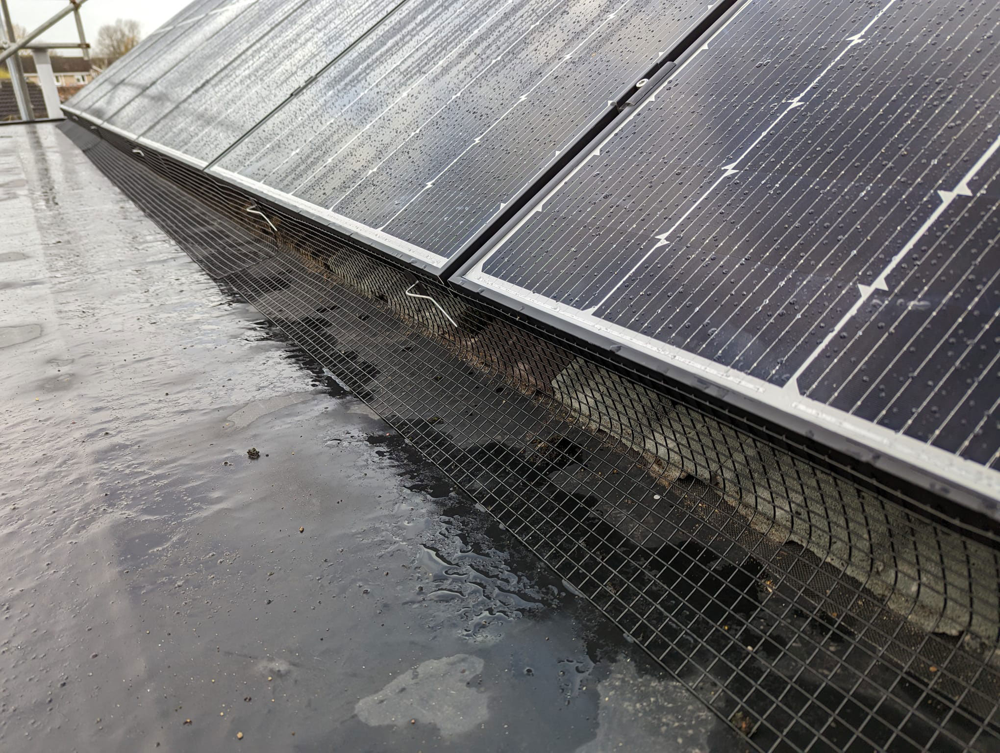 Pigeon Mesh Installed in Bramcote