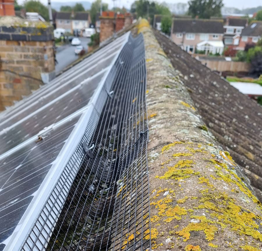 Pigeon Proofing Solar Panels in Ruddington