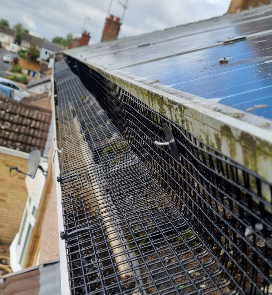 Pigeon Proofing Solar Panels in Ruddington