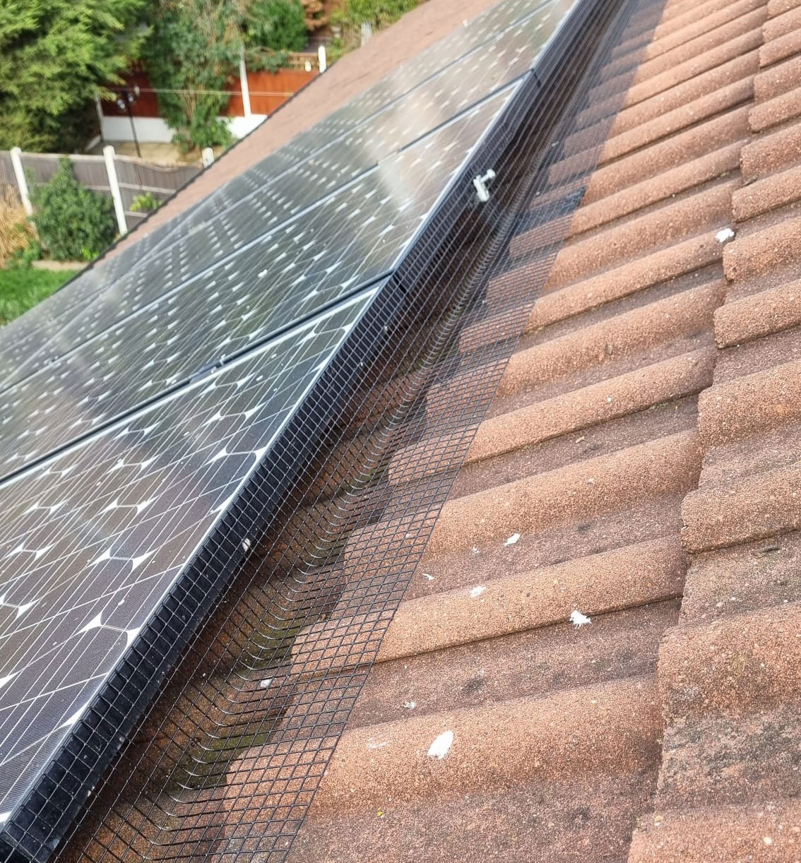 Solar Panel Pigeon Proofing in Colwick
