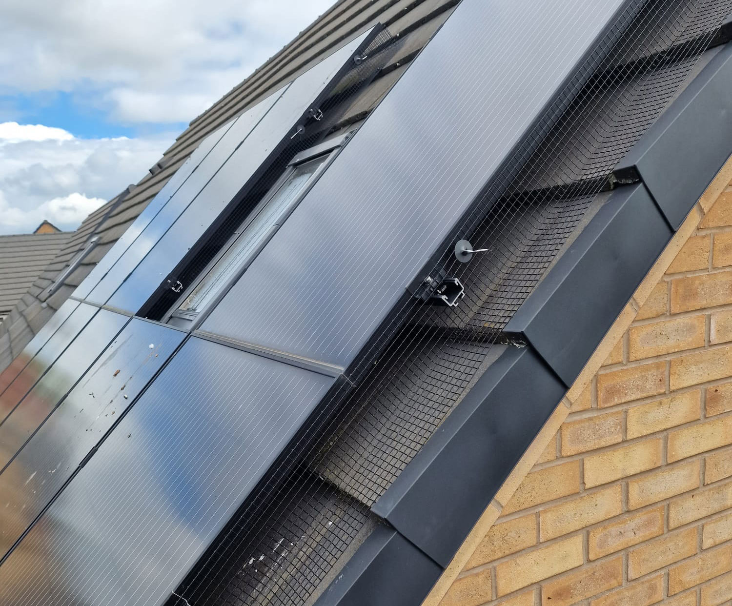 Protecting Solar Panels from Pigeons in Aspley