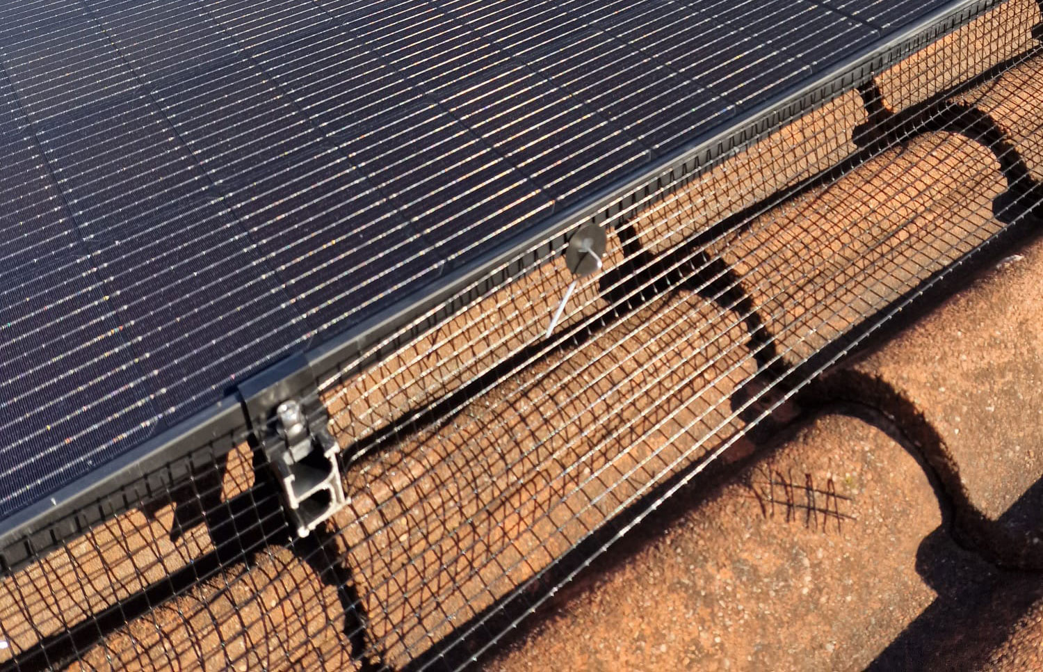 Protecting Solar Panels from Pigeons in Breaston