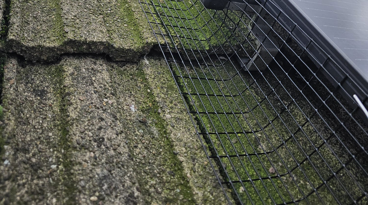 Protecting Solar Panels From Pigeons In Highbury Vale