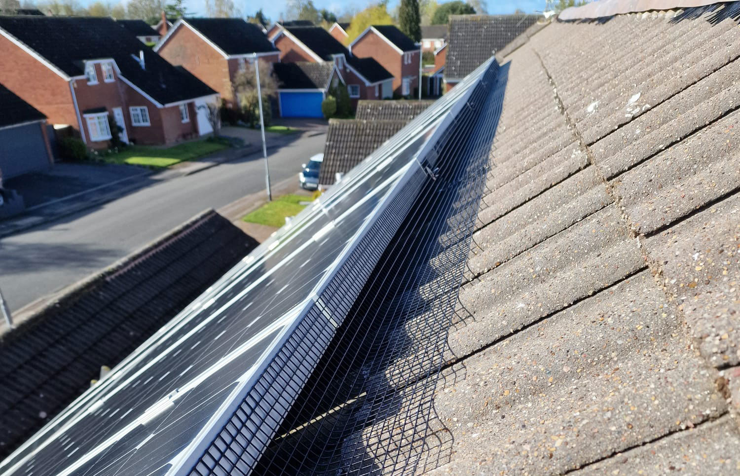 Solar+Panel+Pigeon+Protection+in+Leicestershire