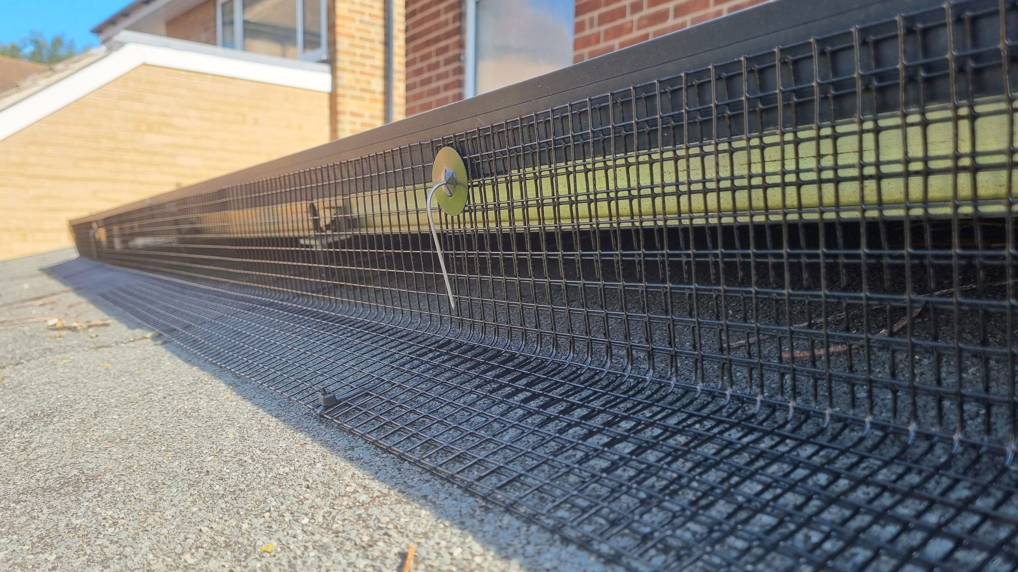 Bird Proofing Solar Panels in Redhill