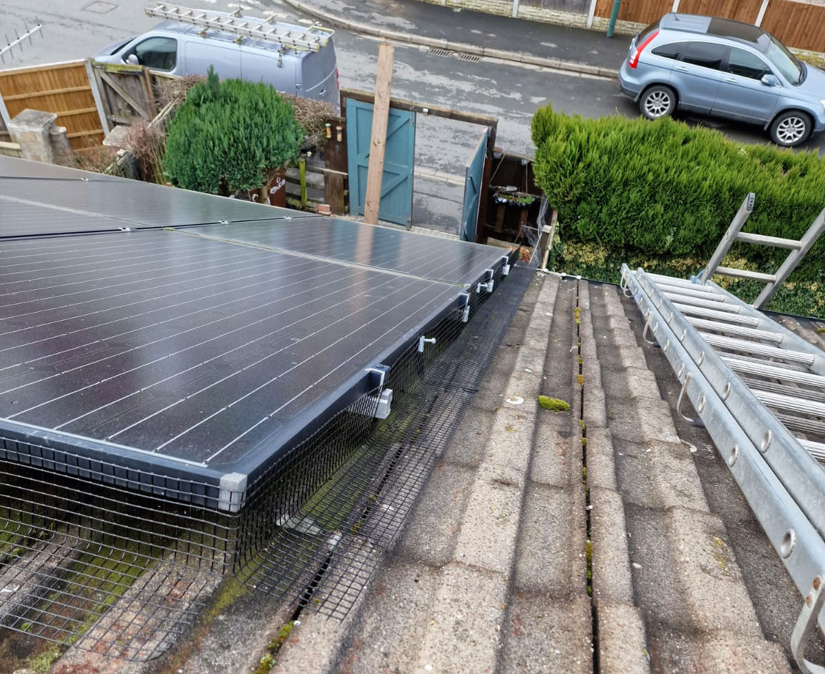Pigeons+Under+Solar+Panels+in+Bulwell
