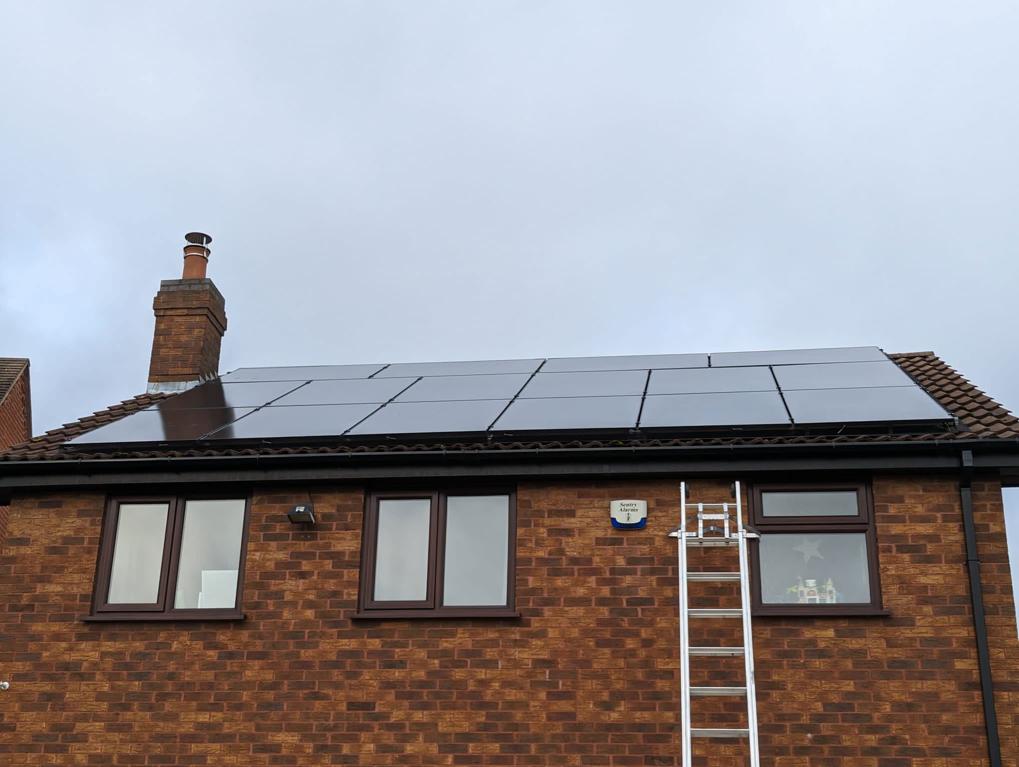 Pigeon+Proofing+Solar+Panels+in+Mapperley