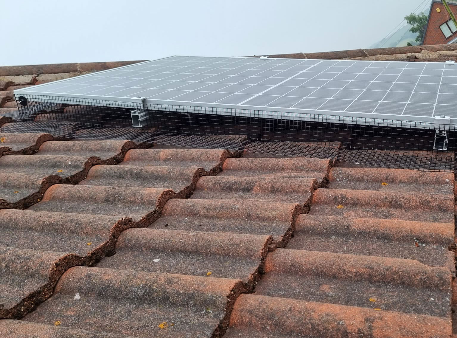 Pigeon Solar Panel Mesh Installed in Jacksdale