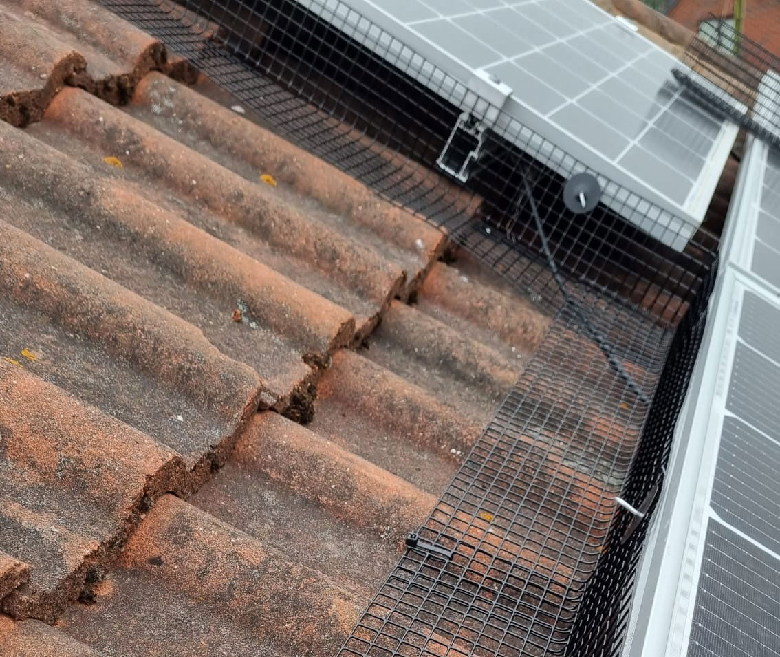 Pigeon Solar Panel Mesh Installed in Jacksdale