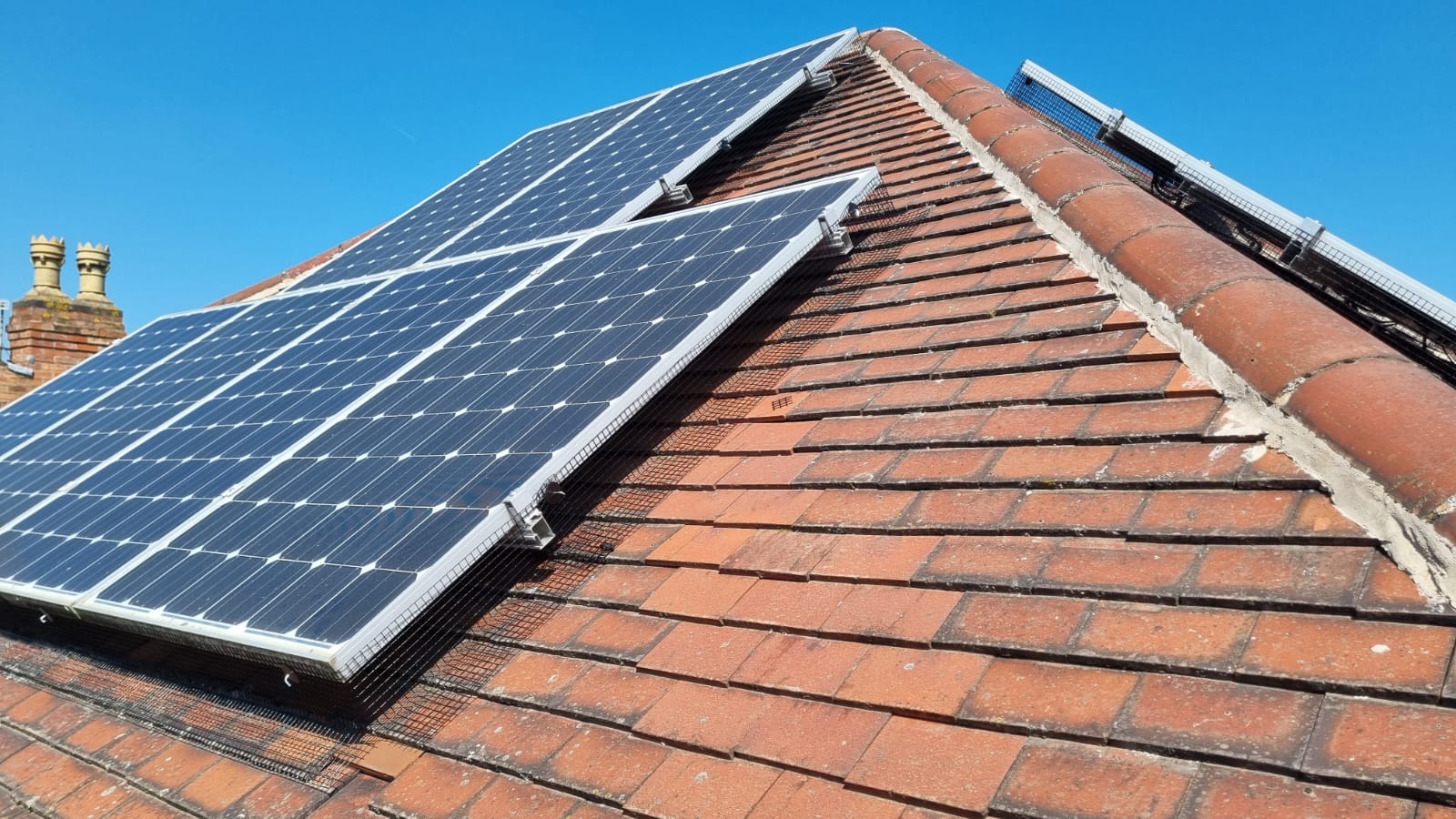 Solar Panel Pigeon Proofing in Bakersfield