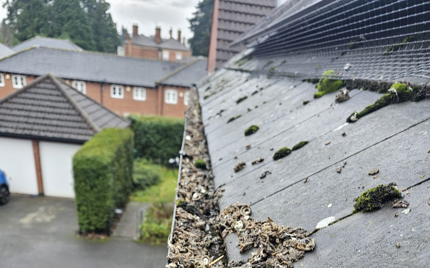 Protecting Solar Panels From Pigeons in Barrow upon Soar