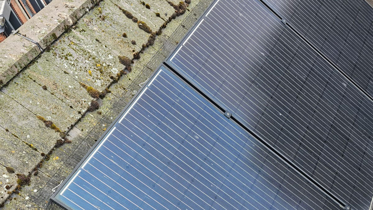 In Basford to Protect Solar Panels From Pigeons