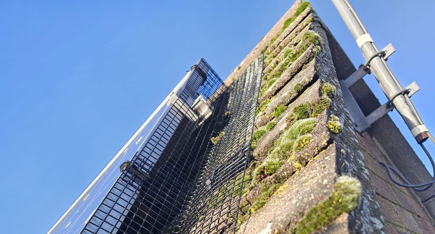 Pigeon Proofing Solar Panels in Braunstone