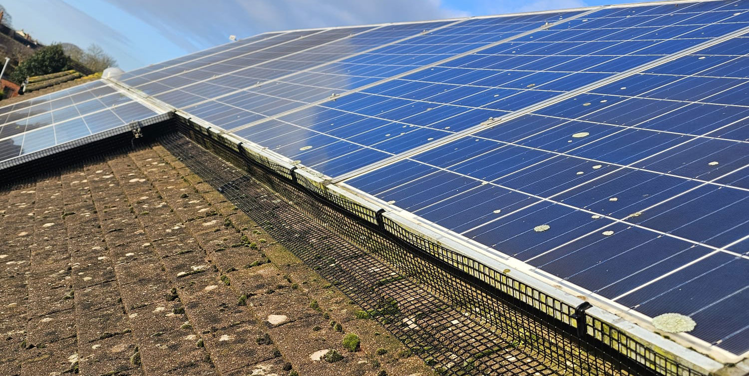 Pigeon+Proofing+Solar+Panels+in+Braunstone