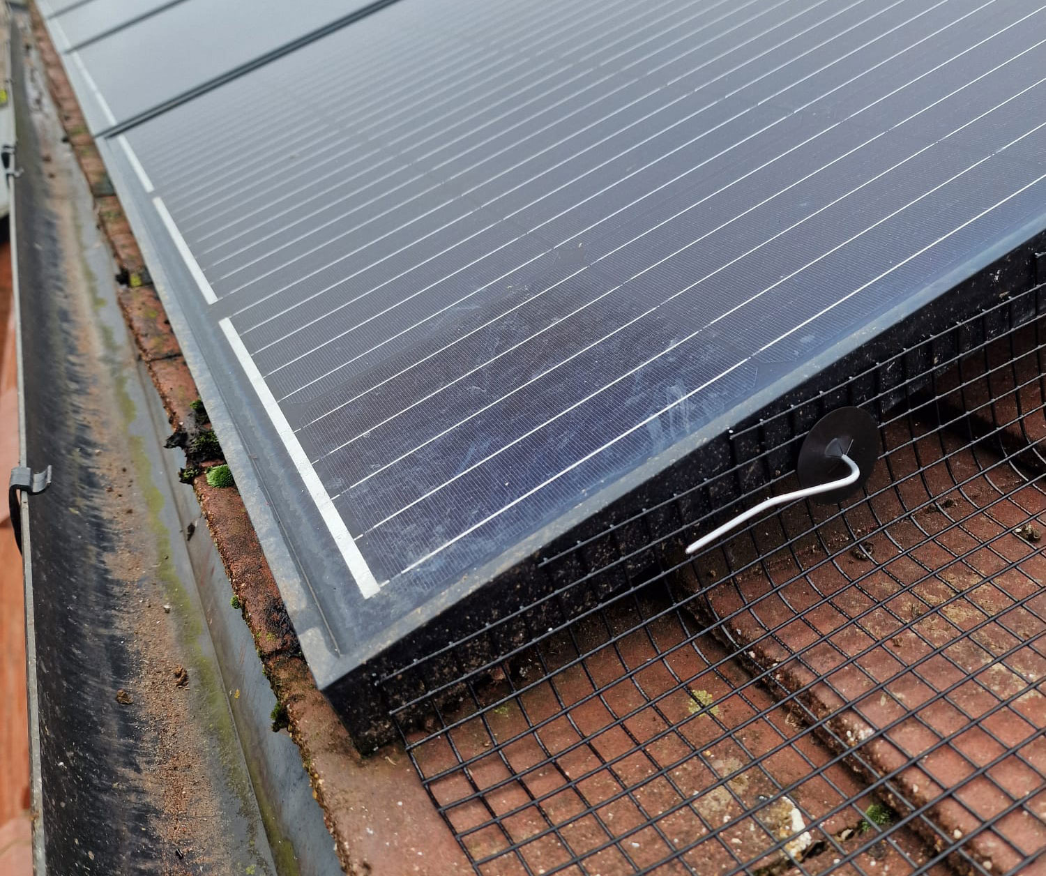 Protecting+Solar+Panels+from+Pigeons+in+Leicestershire