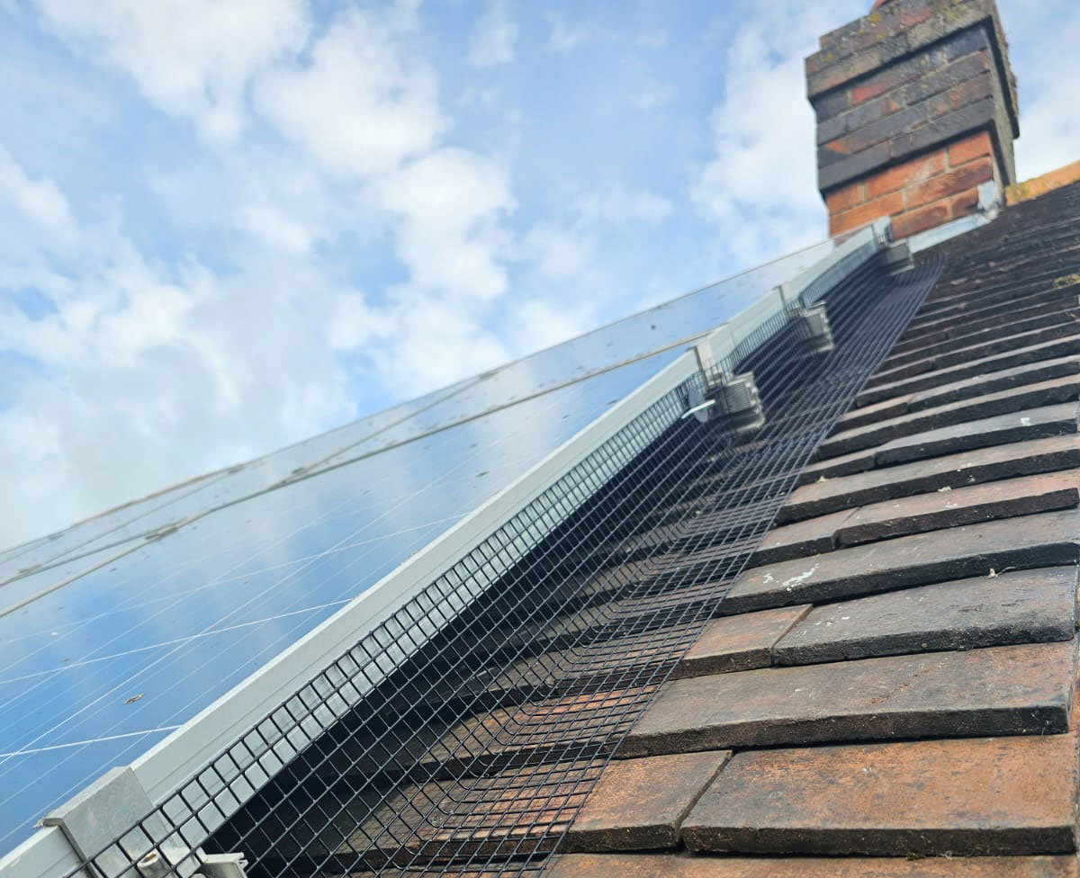 Preventing Pigeons From Nesting Under Solar Panels in Radcliffe-on-Trent