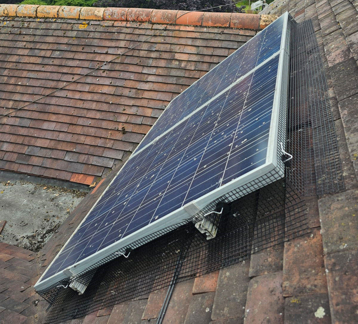 Preventing+Pigeons+From+Nesting+Under+Solar+Panels+in+Radcliffe-on-Trent
