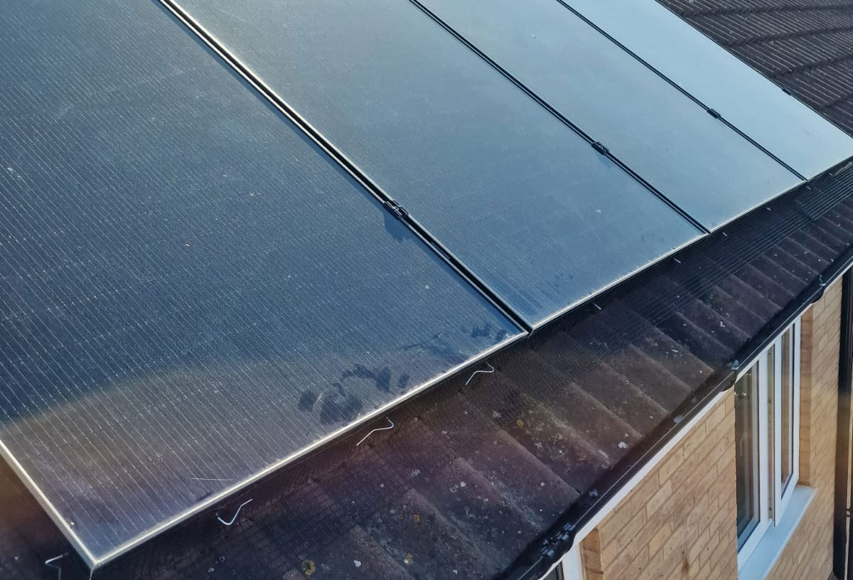 Protecting Solar Panels from Pigeons in Newark