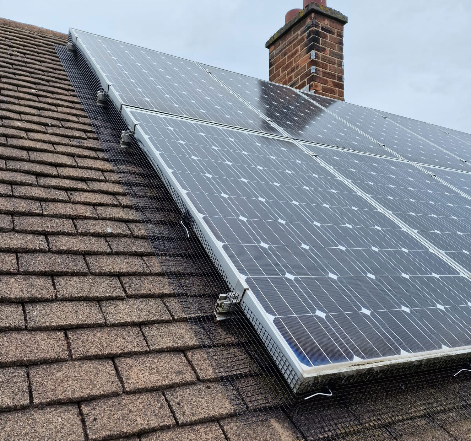 Pigeon Proofing Solar Panels in Sandiacre