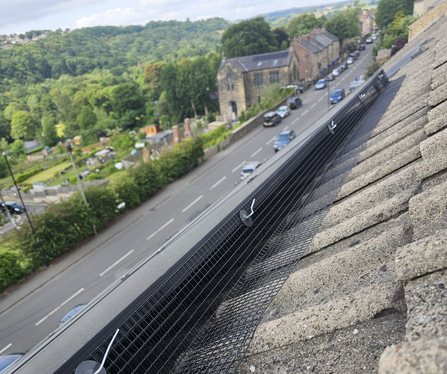Protecting Solar Panels from Pigeons in Sheffield