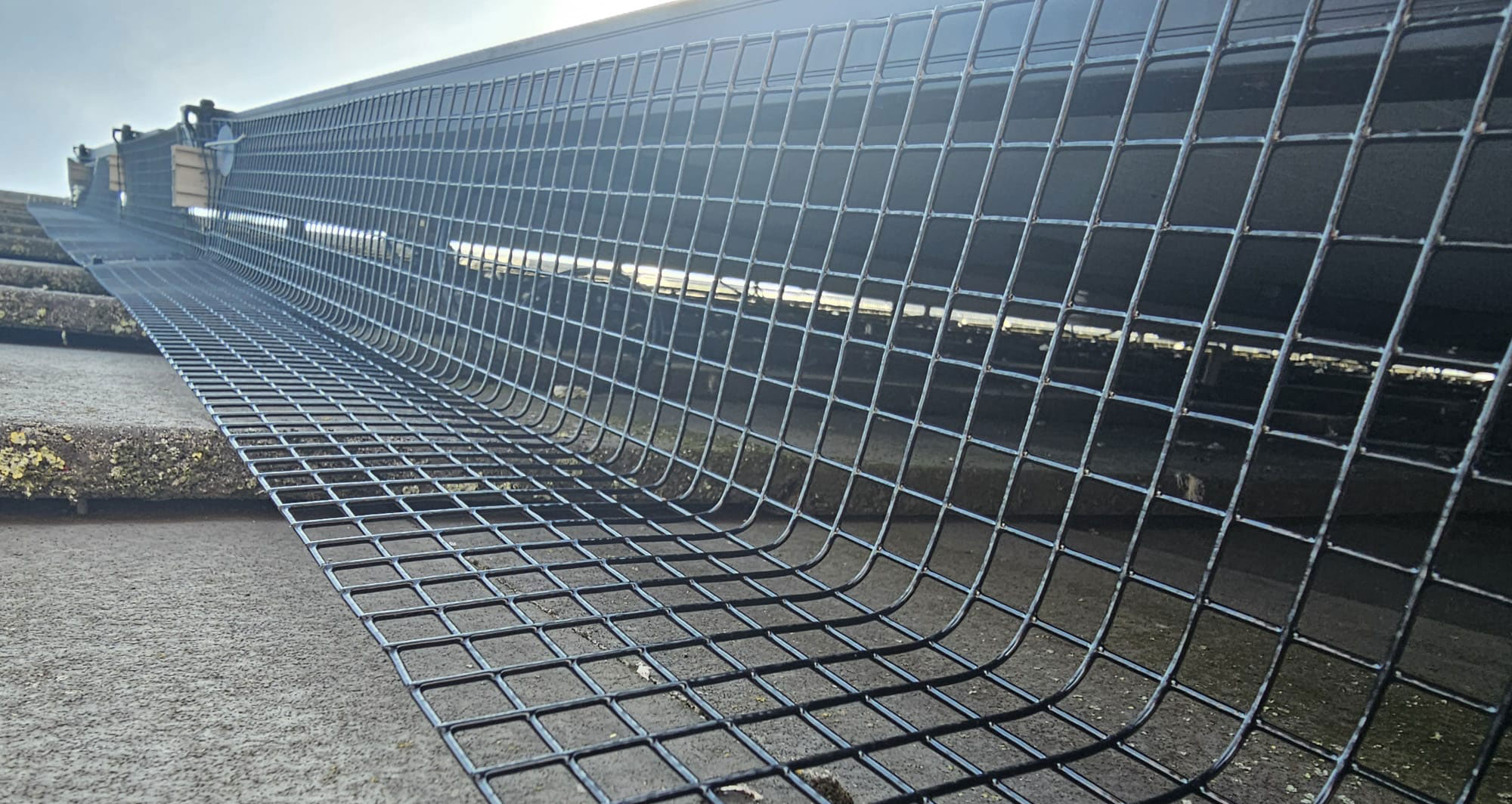 Protecting+Solar+Panels+from+Pigeons+in+Sheffield
