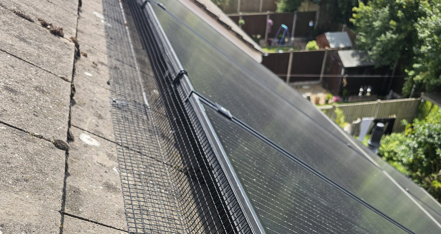 Protecting Solar Panels From Pigeons In Toton