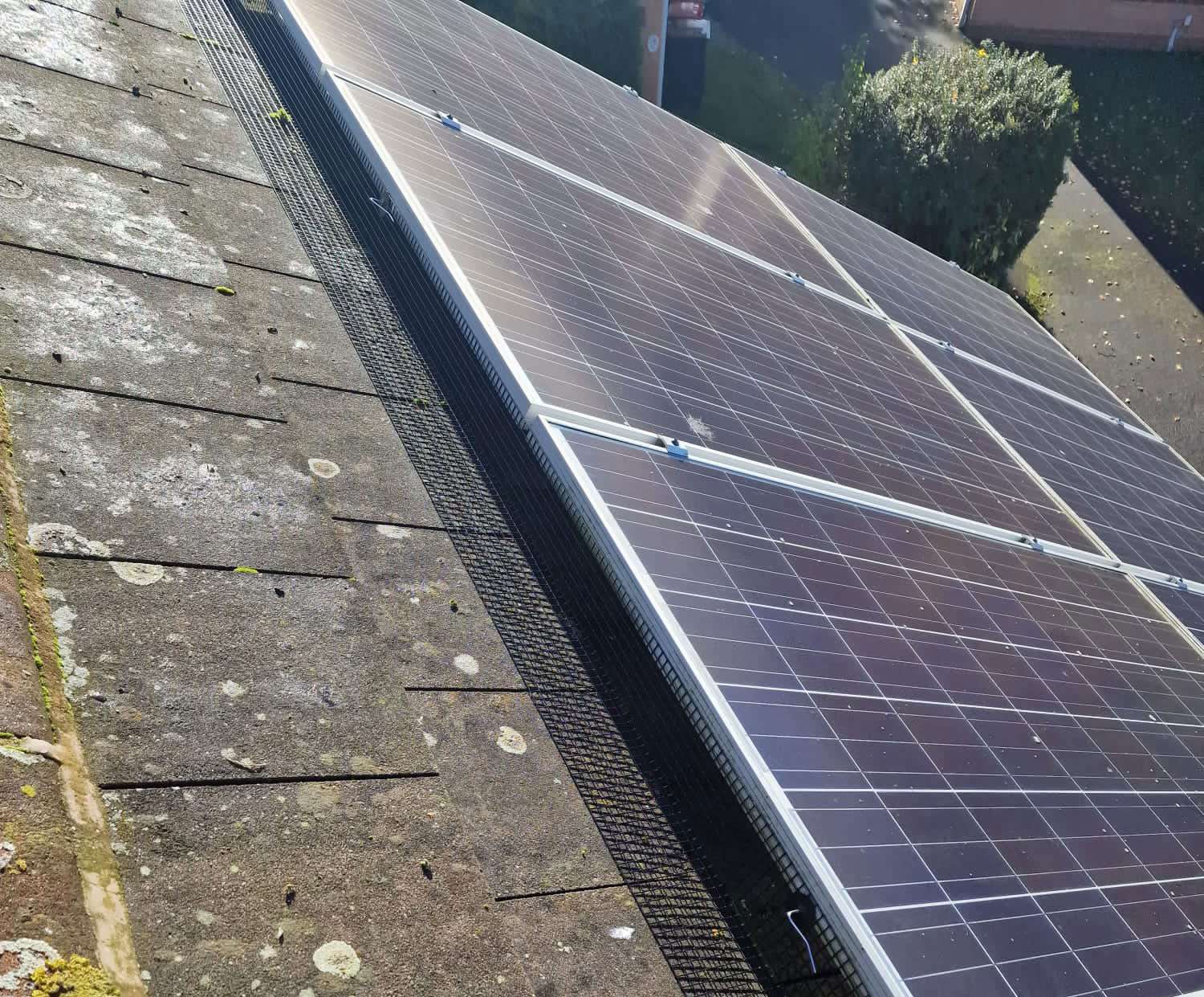Pigeon+proofing+solar+panels+in+Toton