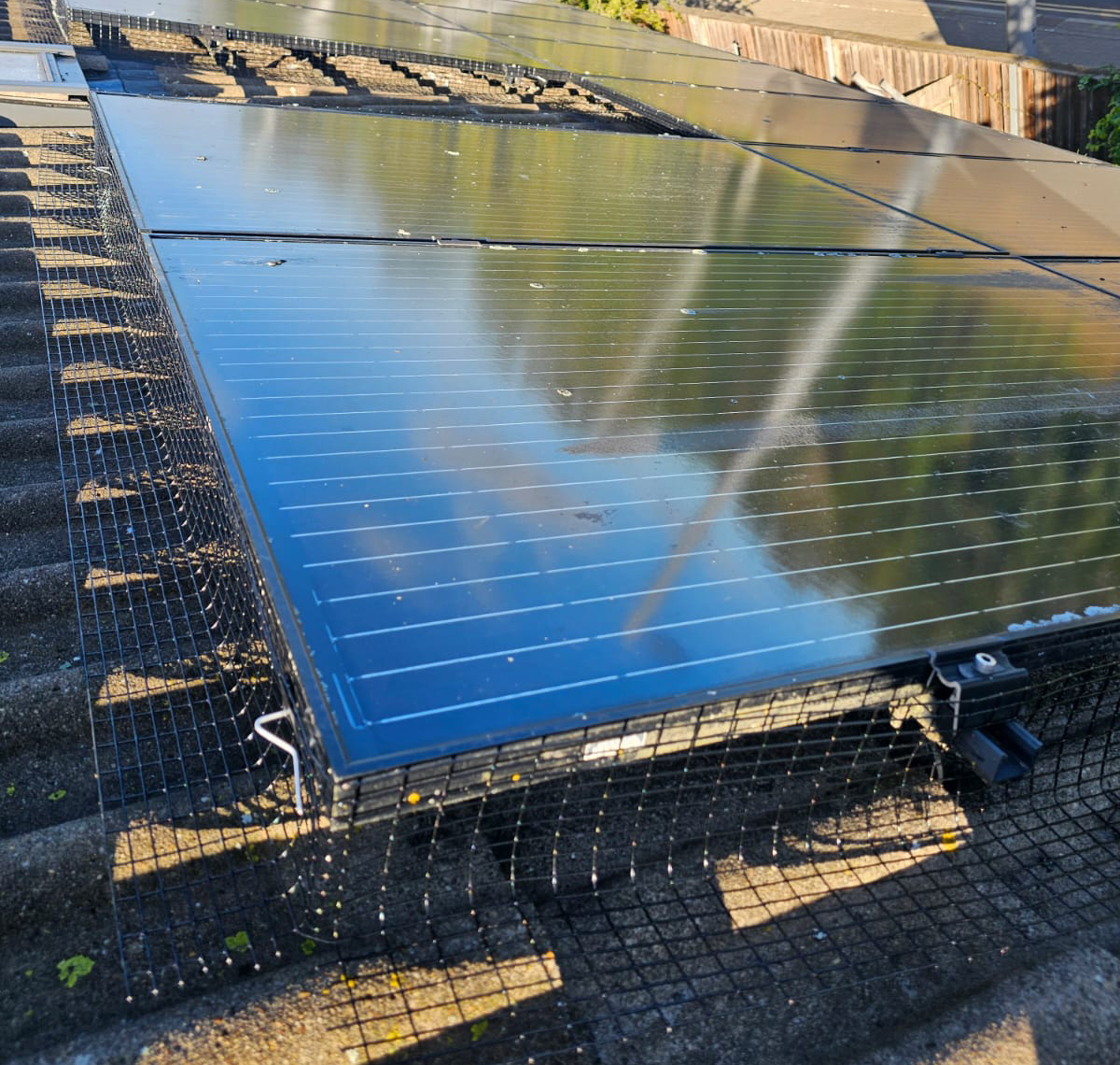 Preventing+Pigeons+From+Nesting+Under+Solar+Panels+in+The+Meadows