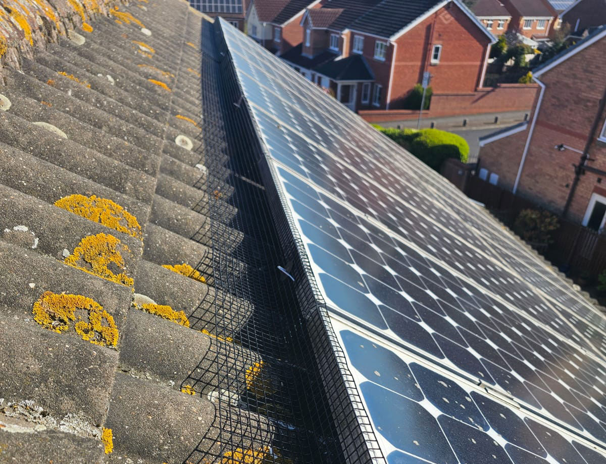 Protecting Solar Panels From Pigeons in Worksop
