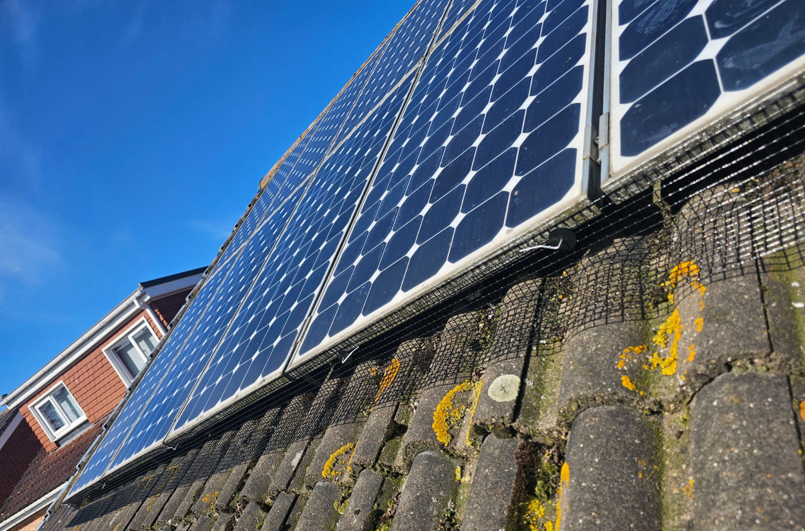 Protecting Solar Panels From Pigeons in Worksop