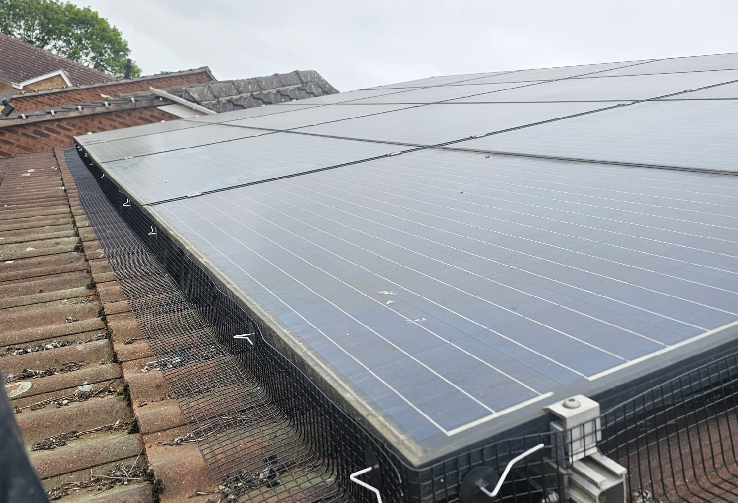 Solar Panels Protected from Pigeons in South Normanton