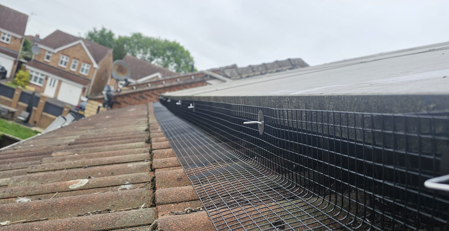 Solar+Panels+Protected+from+Pigeons+in+South+Normanton
