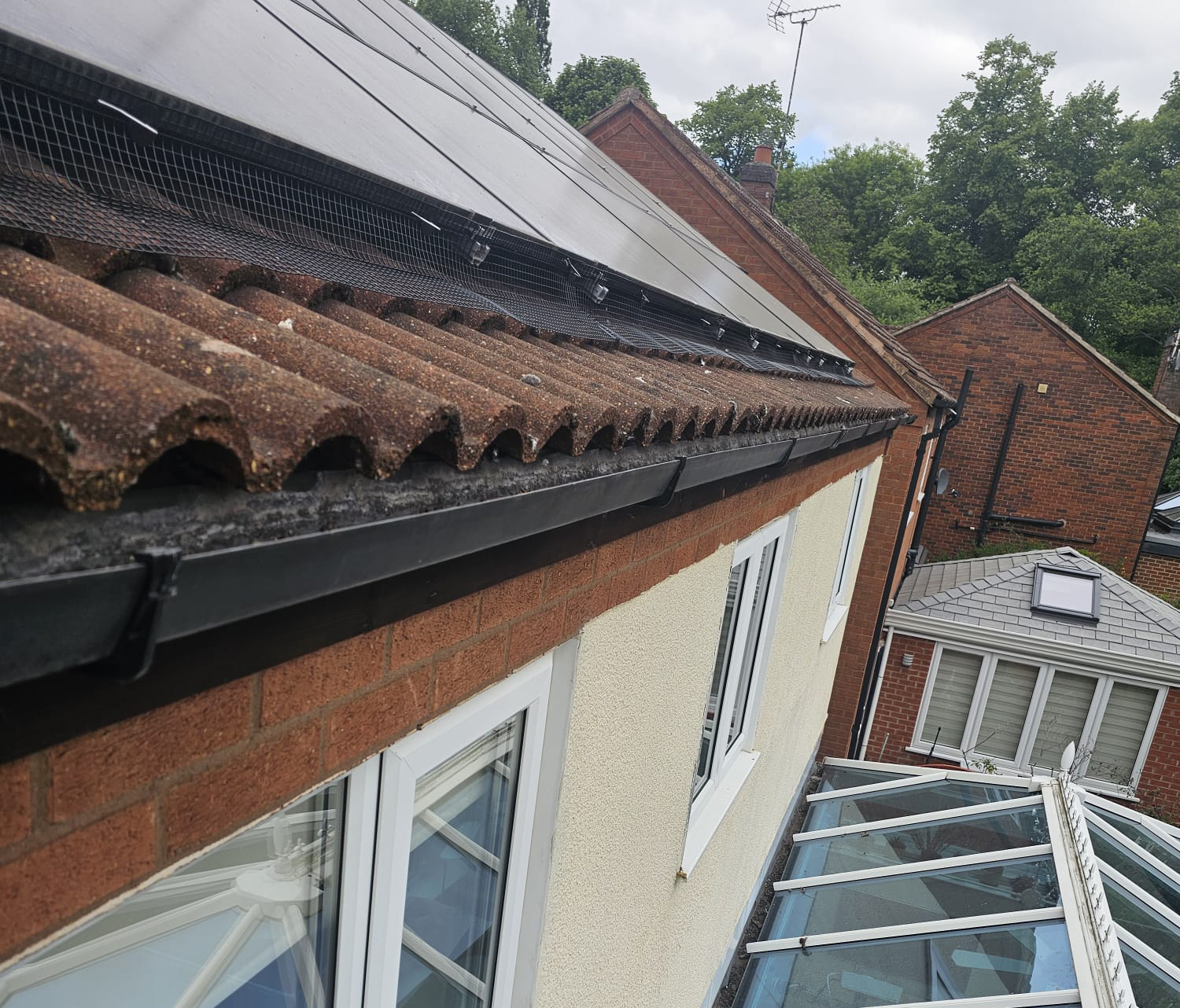 Protecting Solar Panels from Pigeons in Southwell