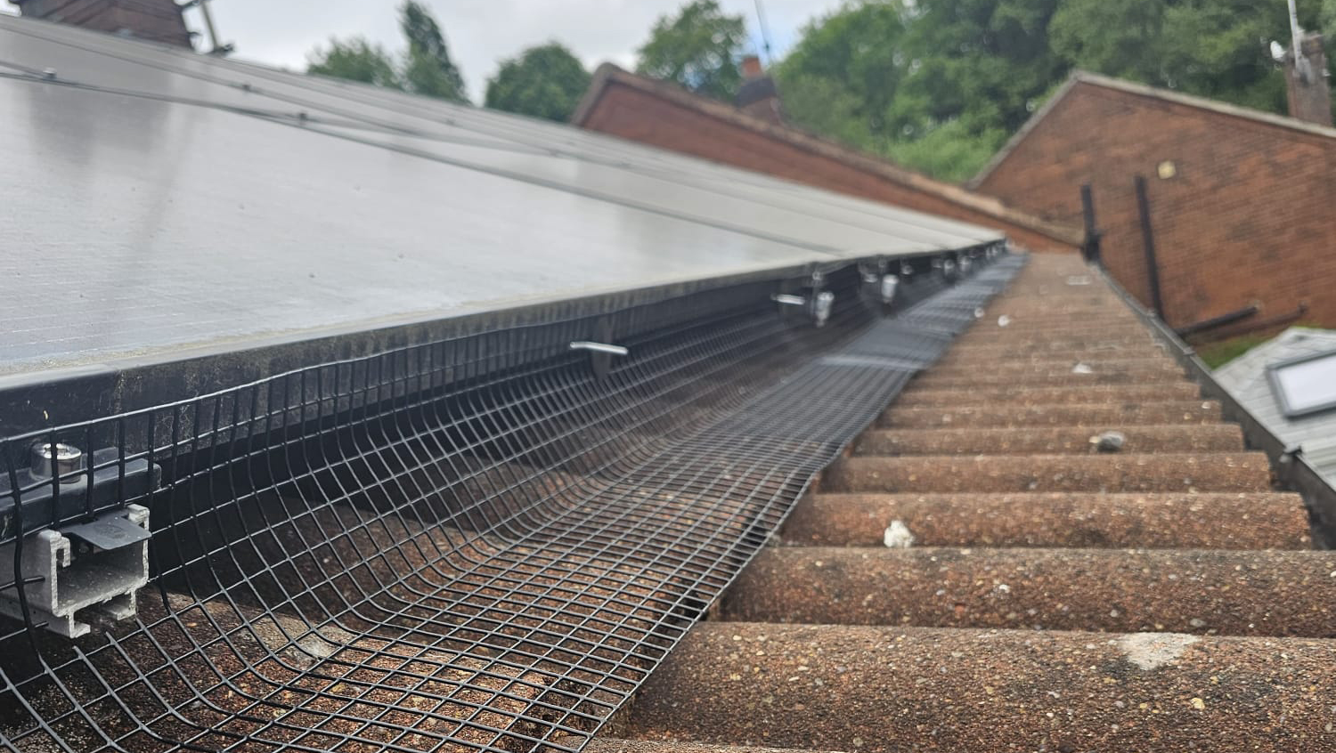 Protecting+Solar+Panels+from+Pigeons+in+Southwell