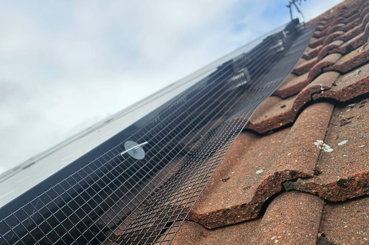 In The Village of Stanley Common to Prevent Pigeons Nesting Under Solar Panels