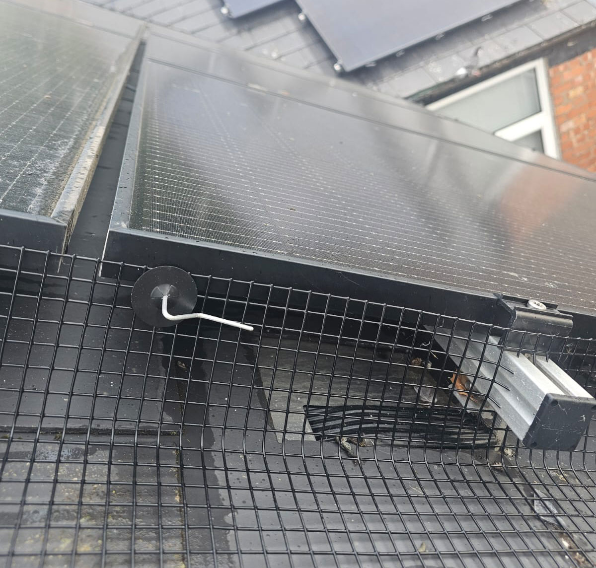 Pigeon Proofing Solar Panels in Stapleford