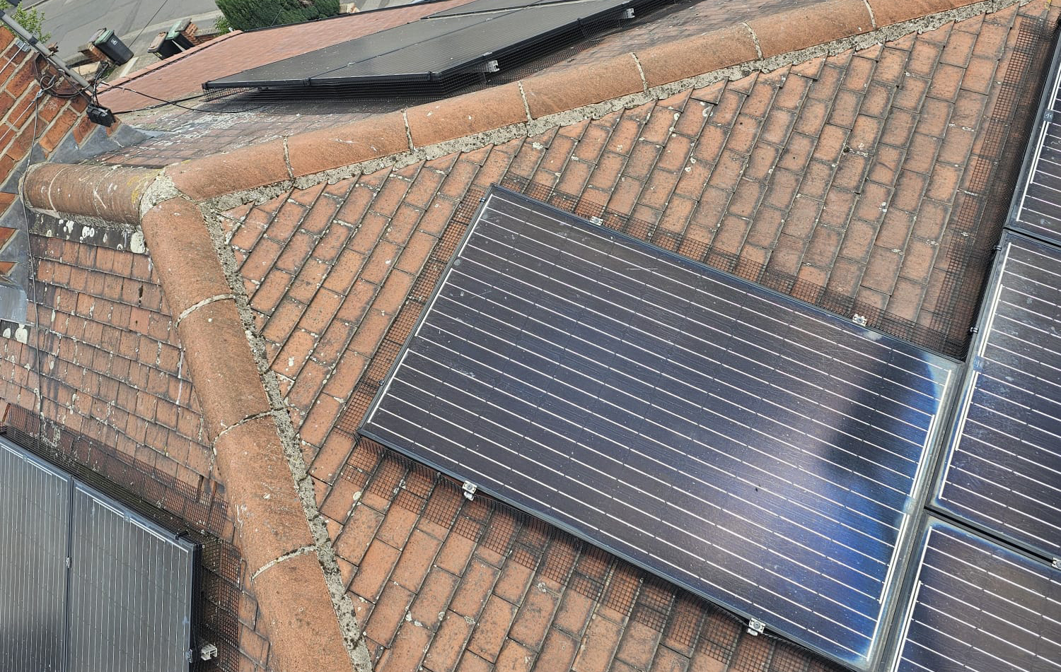 Protecting Solar Panels from Pigeons in Stapleford