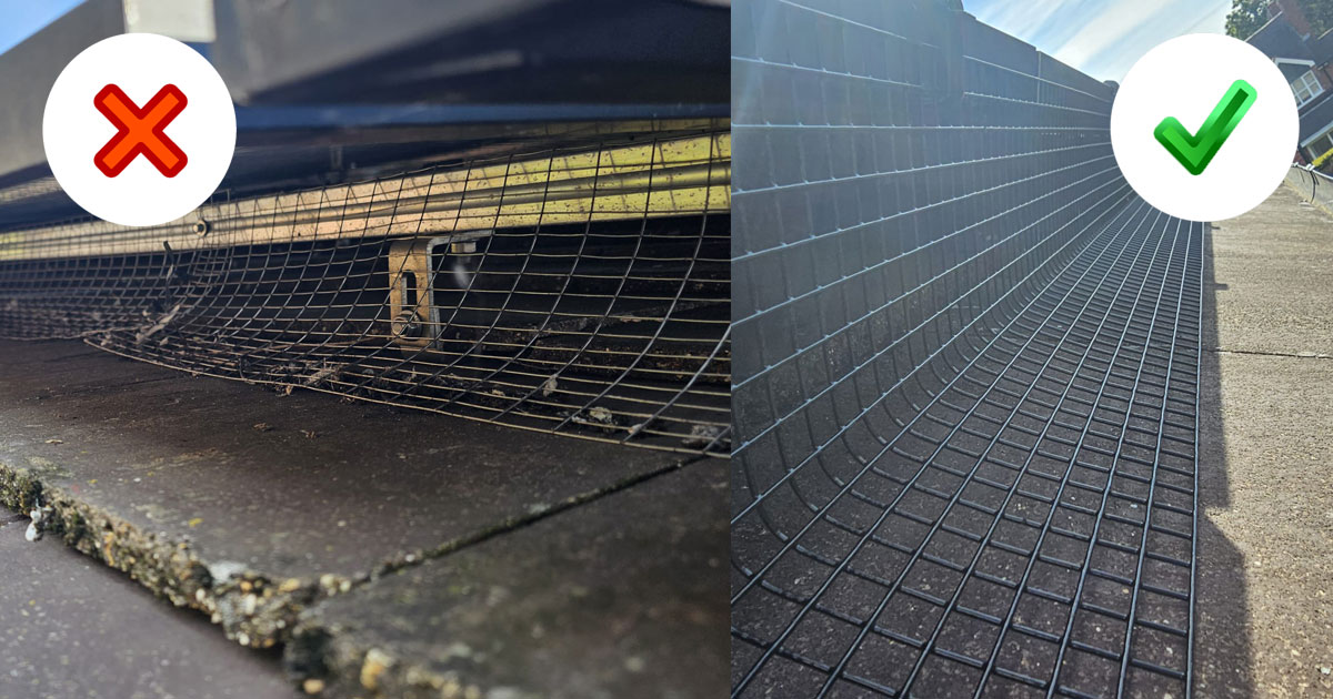Protecting+Solar+Panels+From+Pigeons+in+Stourbridge